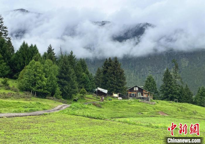 6月10日，魯朗小鎮(zhèn)高山牧場景區(qū)風(fēng)光。　冉文娟 攝