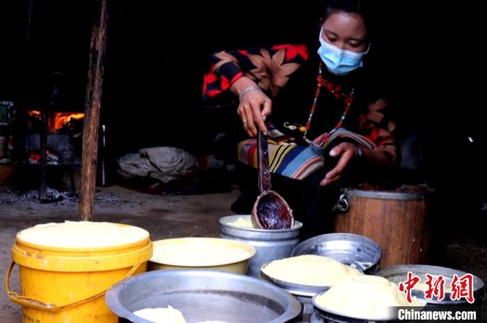 圖為牧民正在制作酥油?！∪湛t文聯(lián)供圖