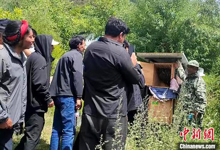 拉久西村村民學(xué)習(xí)養(yǎng)蜂工作流程和防范事項?！〔际忻⒖悼h委宣傳部供圖