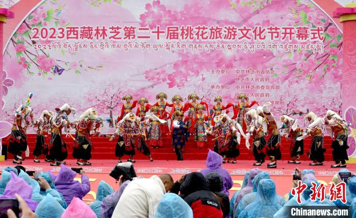 3月28日，西藏林芝第二十屆桃花旅游文化節(jié)開幕式上的文藝表演?！±盍?攝