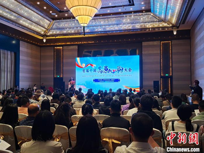 圖為首屆中國(guó)高原心胸大會(huì)現(xiàn)場(chǎng)?！☆D旦旺姆 攝