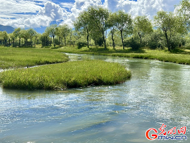 我們的家園丨【組圖】 綠水青山入畫，“金山銀山”筑起