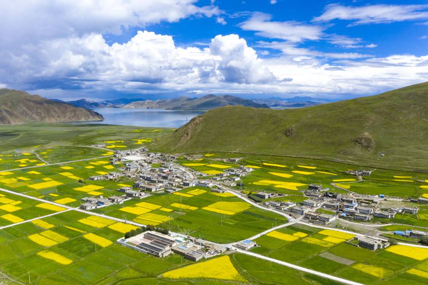 航拍道布龍村，依山傍水，阡陌縱橫。