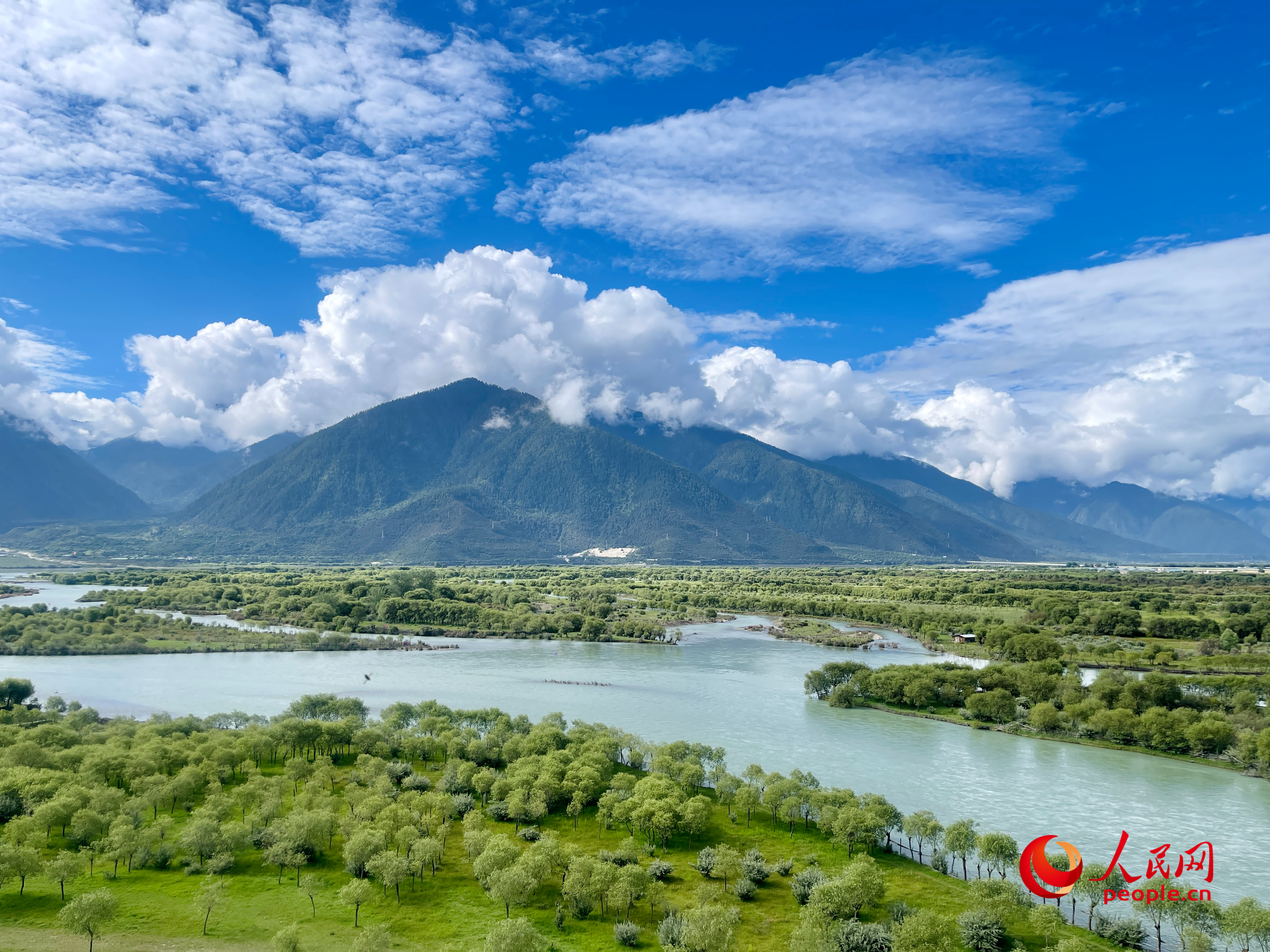 夏日的雅尼國家濕地公園生機(jī)盎然，如詩如畫。人民網(wǎng) 周靜圓攝