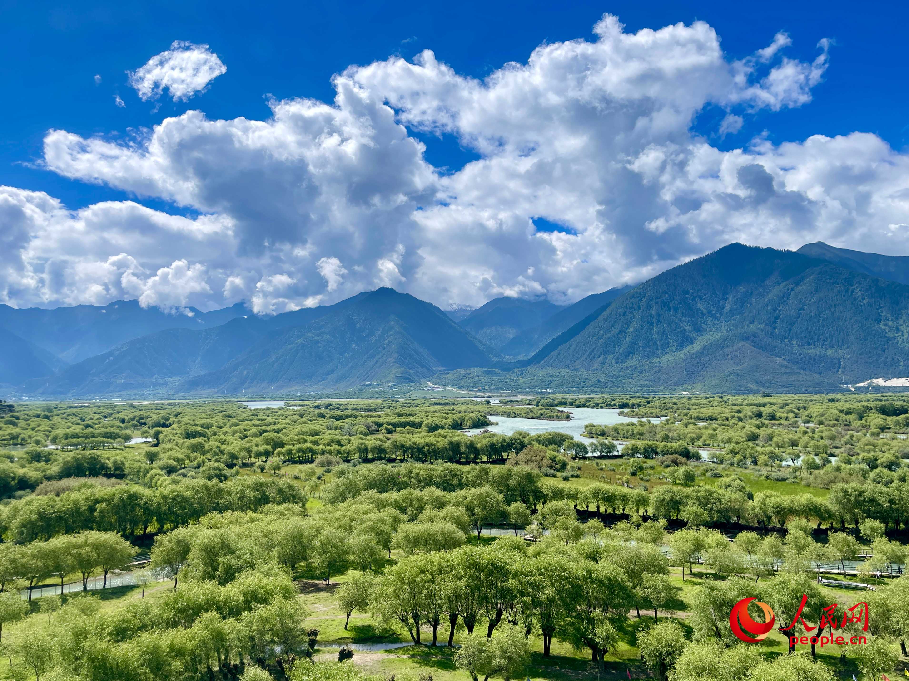 夏日的雅尼國家濕地公園生機(jī)盎然，如詩如畫。人民網(wǎng) 周靜圓攝