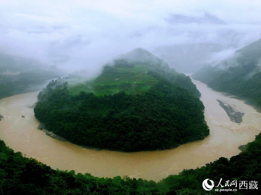 雅魯藏布江大峽谷蛇形拐彎處，山坡上種滿茶樹。