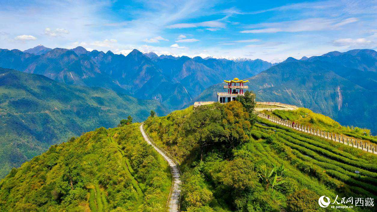 無(wú)人機(jī)航拍墨脫縣格林村蓮花觀景臺(tái)。人民網(wǎng)記者 次仁羅布攝