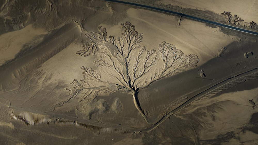 無人機視角下的西藏阿里地區(qū)改則縣“大地之樹”景觀。尼瑪多吉攝