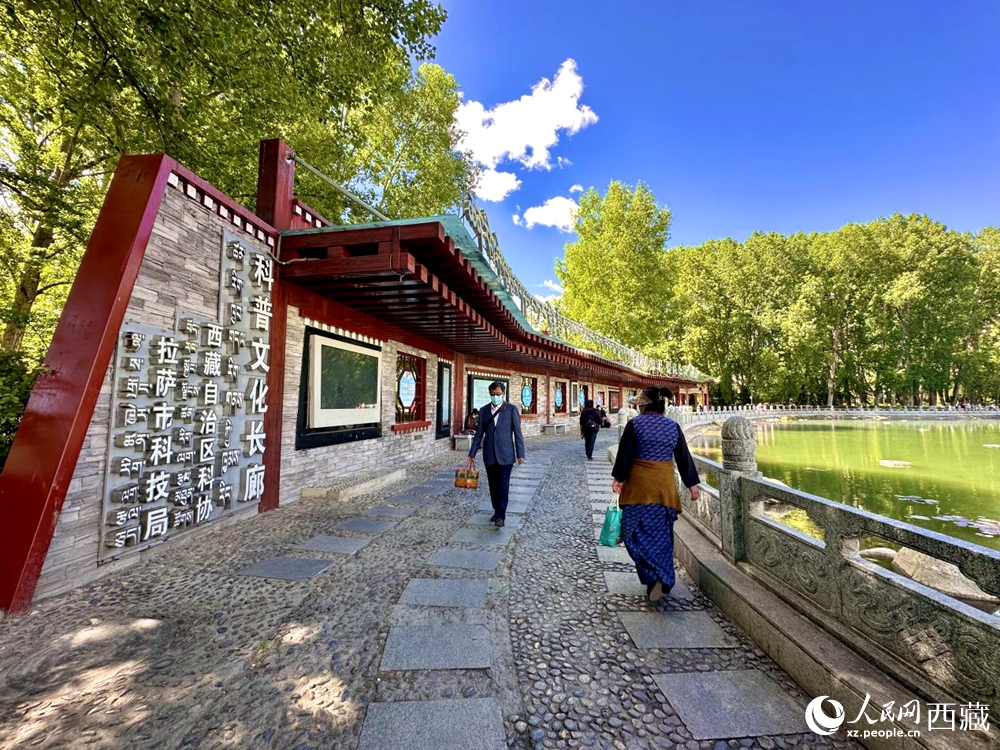 公園內(nèi)的科普文化長(zhǎng)廊。