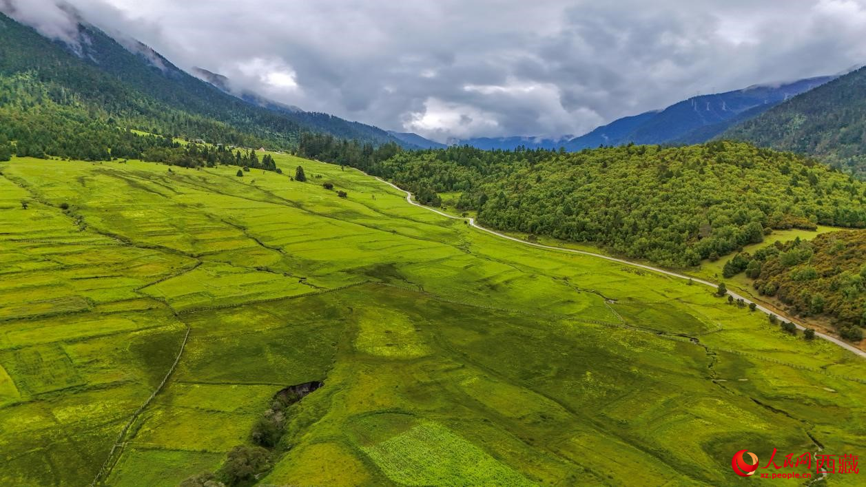 圖為航拍高山牧場鳥瞰圖。人民網(wǎng)記者 次仁羅布攝