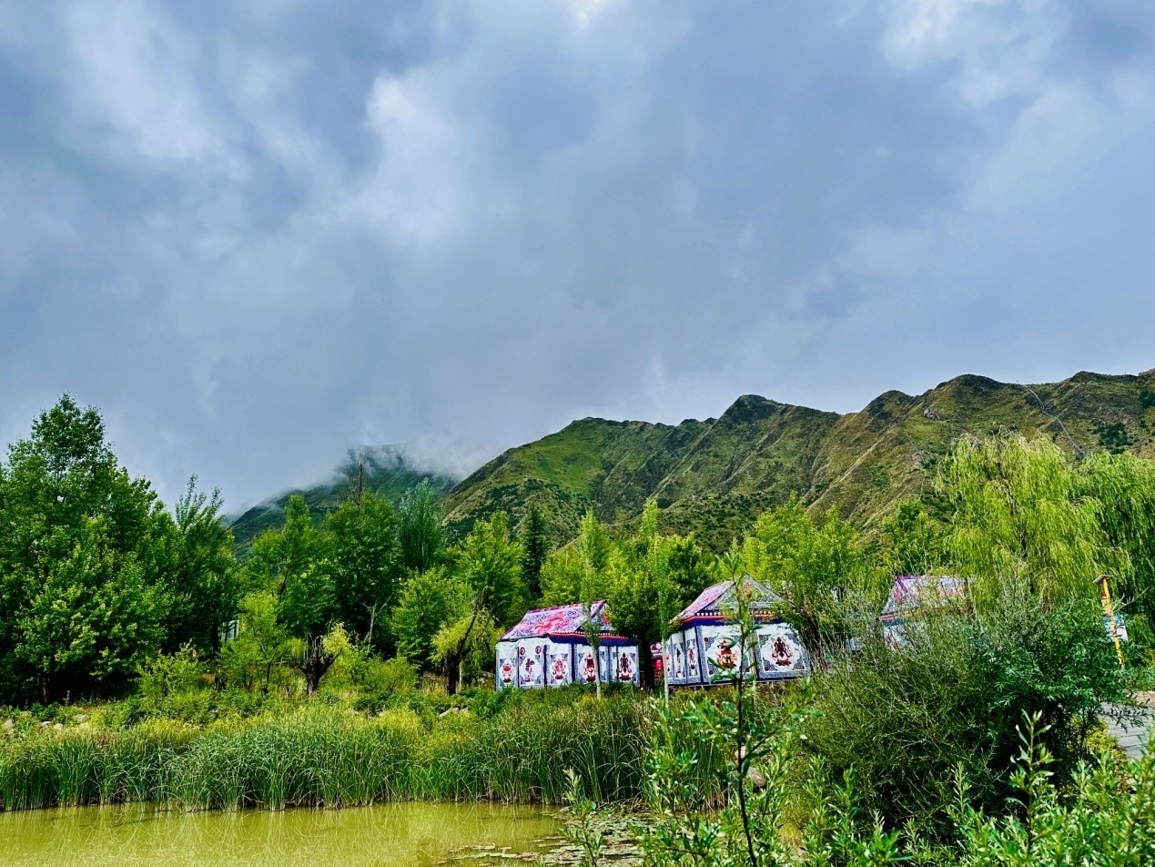 郁郁蔥蔥的南山公園。人民網(wǎng)記者 益西康珠攝