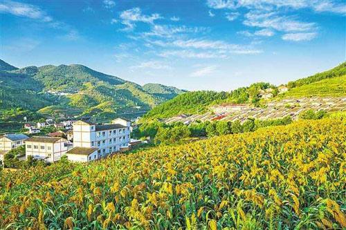 【理上網(wǎng)來o輝煌十九大】鄉(xiāng)村振興戰(zhàn)略：更綜合、全面、系統(tǒng)的發(fā)展戰(zhàn)略