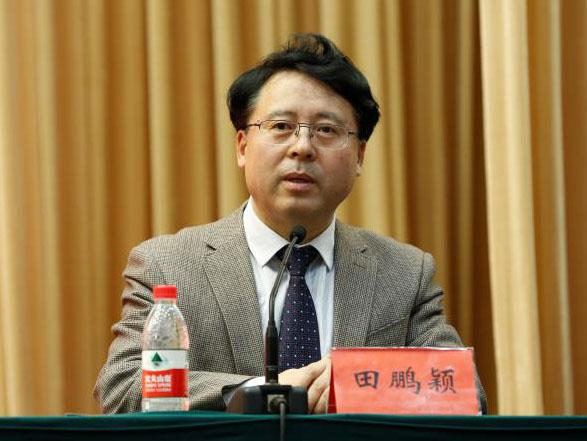 田鵬穎：投入其中、樂在其中、安身其中