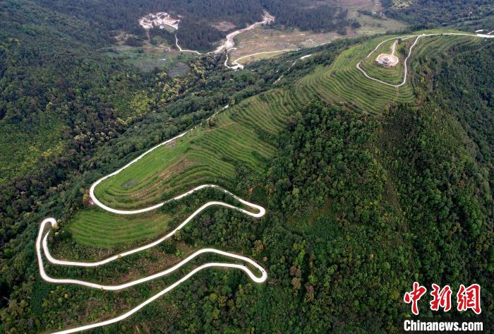 圖為西藏林芝市墨脫縣背崩鄉(xiāng)格林村山頂?shù)木坝^茶園。(無人機(jī)照片) 李林 攝