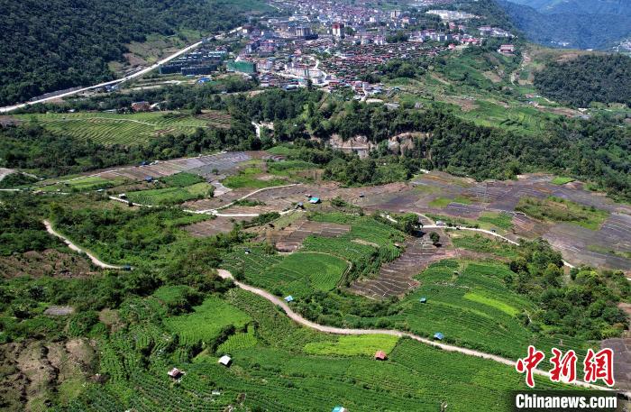 圖為西藏林芝市墨脫縣城附近的茶田。(無人機(jī)照片) 李林 攝